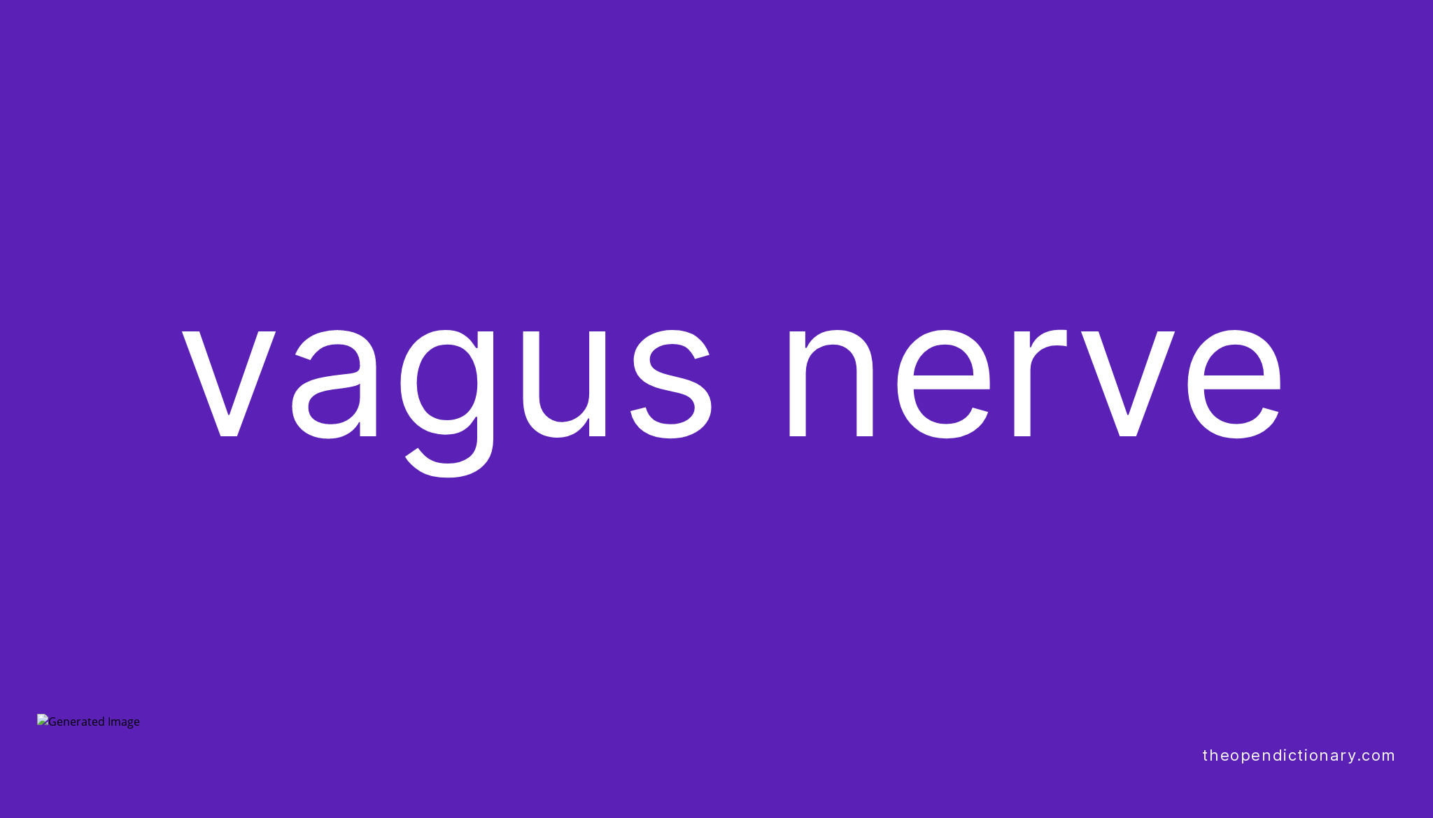 vagus-nerve-meaning-of-vagus-nerve-definition-of-vagus-nerve